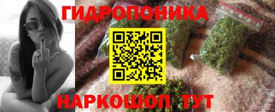 СК Гагарин