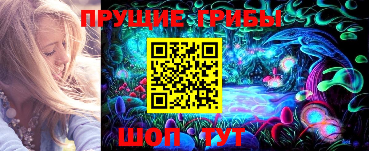 Мичуринск  Галлюциногенные грибы ЛСД  Вход с VPN  Галлюциногенные грибы Psilocybe 