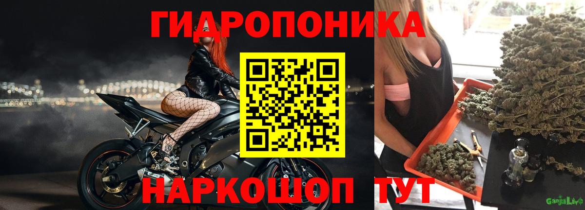 Канабис VHQ  Марихуана LSD WEED  Вход с VPN  Каннабис THC 21%  Мичуринск 